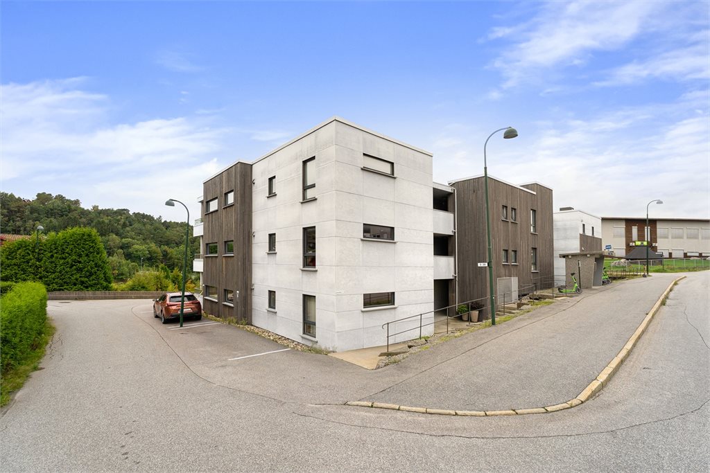 Velkommen til visning!