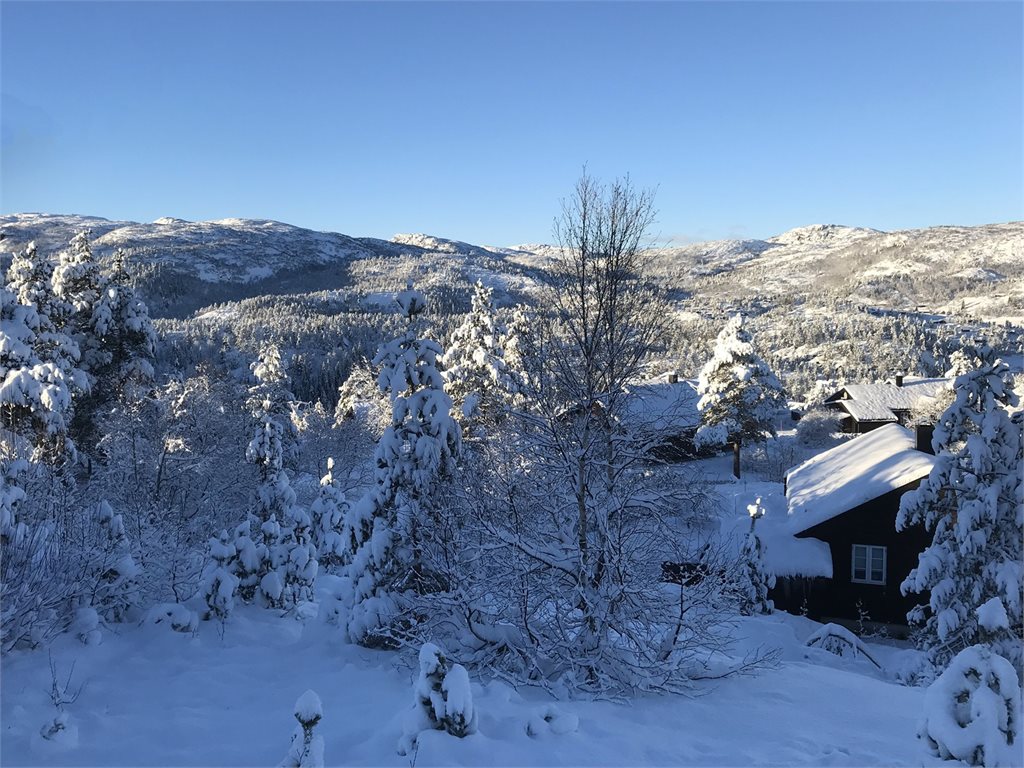 Vinterbilde - utsikt 