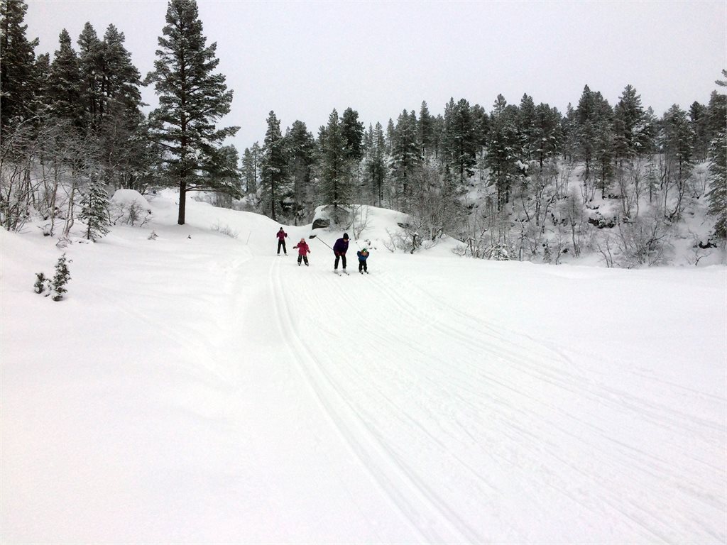 Nærhet til skiløypa