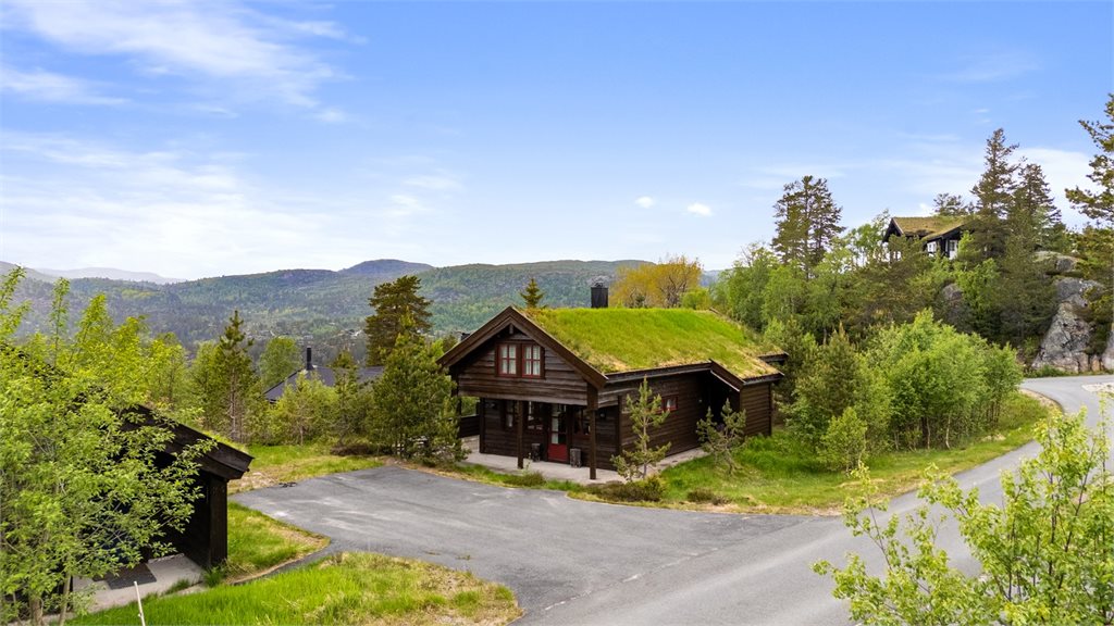 Gonliavegen 22_Drone
