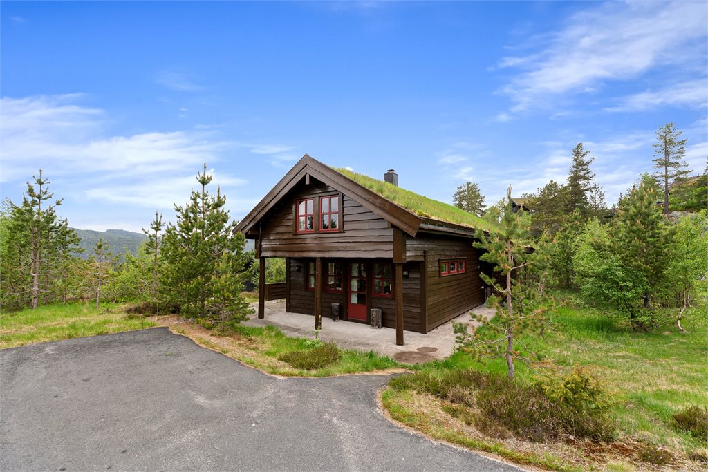 Gronalivegen 22_90