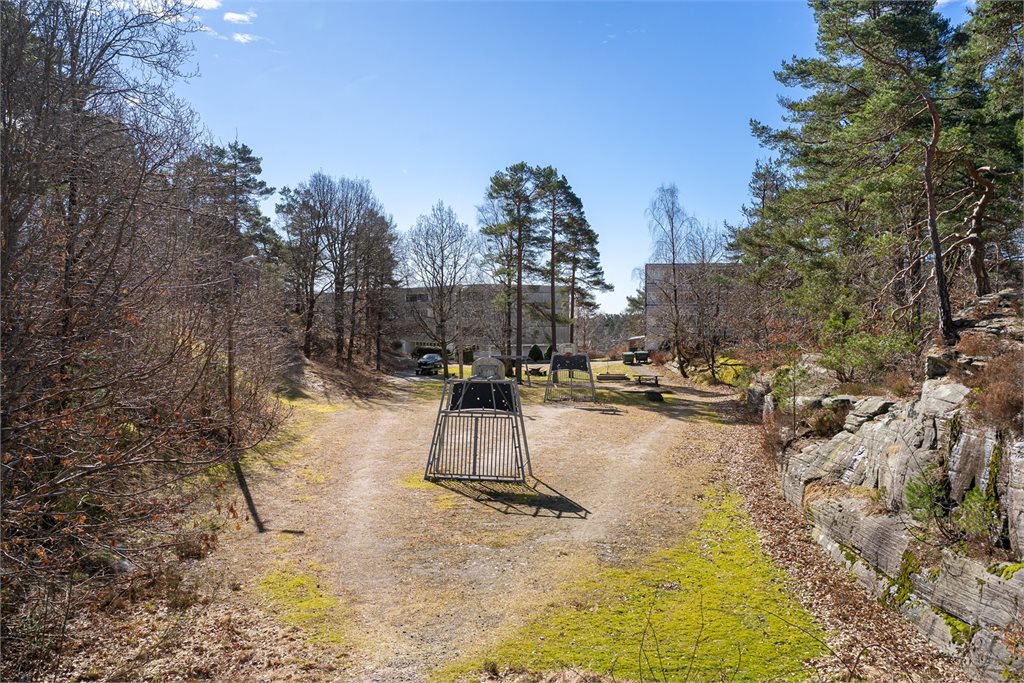 Hyggelig og grønt nærområde med turstier.