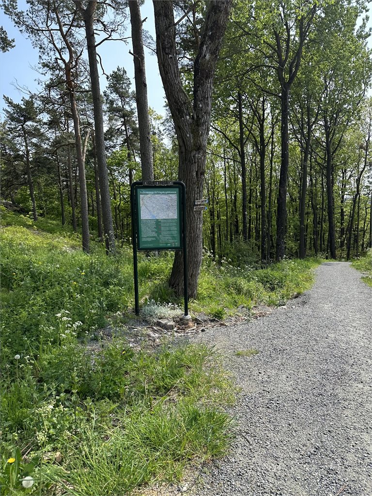 Inngangen til vågsbygdskogen 