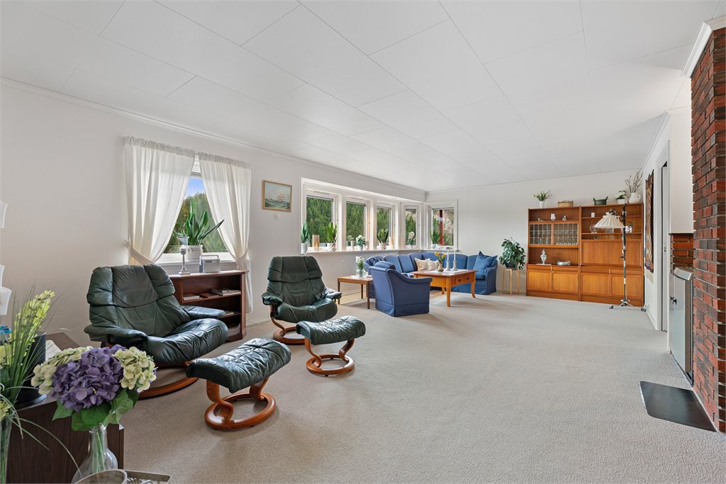 Romslig stue med vedovn og hyggelig atmosfære
