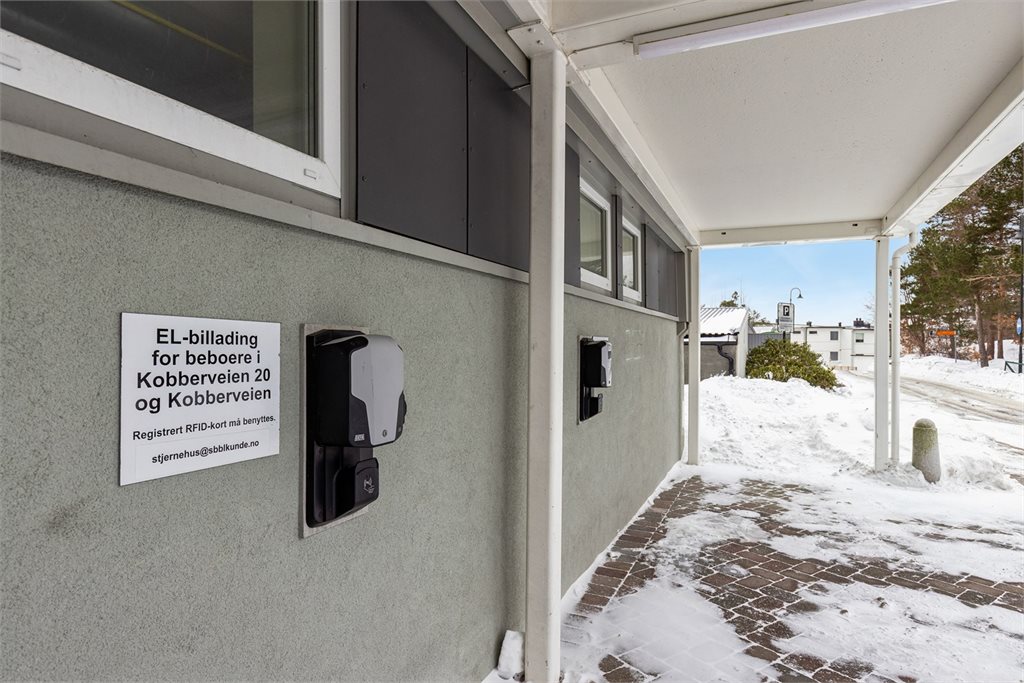 Det er mulighet for lading av el-bil i borettslaget. 