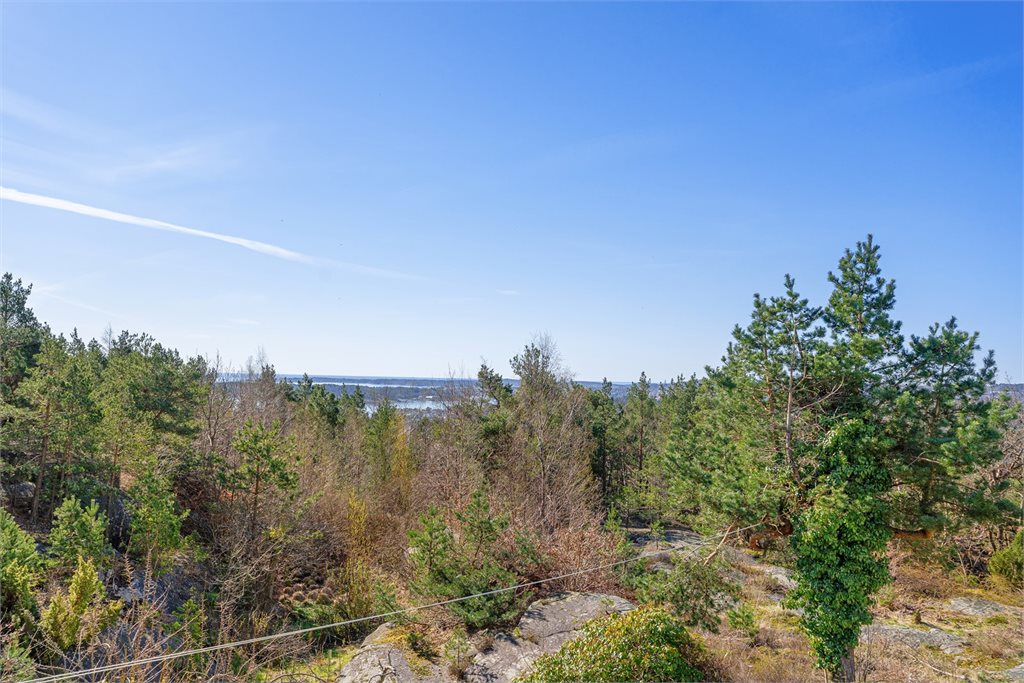 Fri og naturskjønn utsikt over grøntomra°de, med glimt mot sjøen