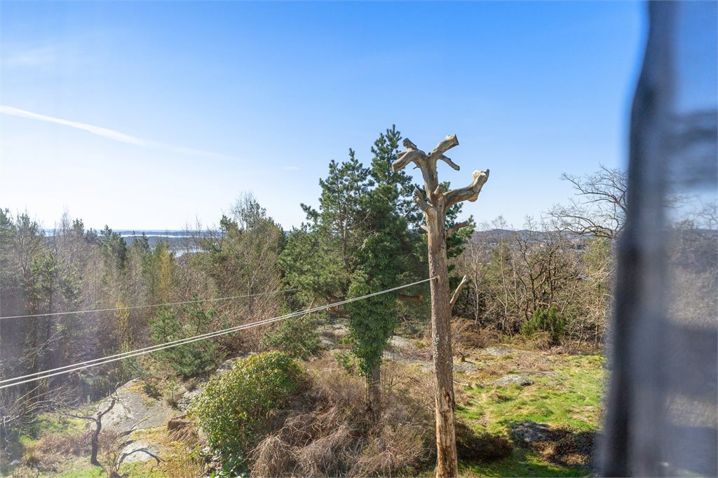 Naturskjønn utsikt over grøntomra°de med glimt mot sjøen