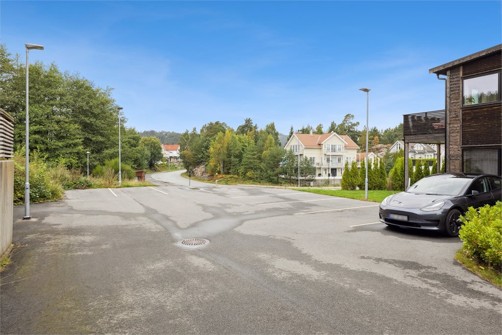 Felles parkering for sameiet.