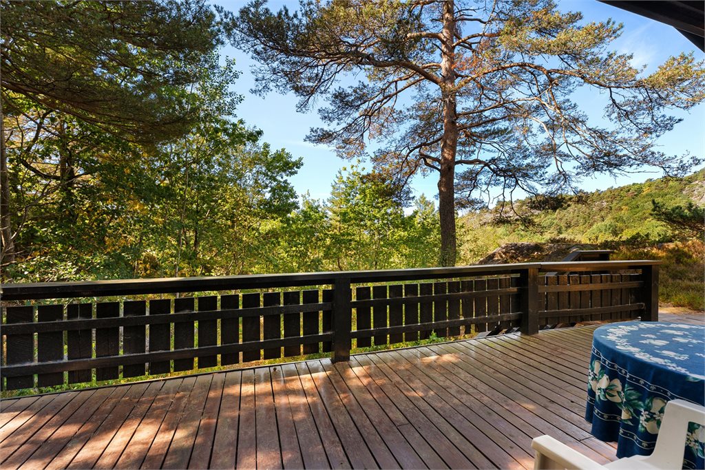 Fra stuen er det direkte utgang til uteområdet. Det ligger et potensial i å beskjære enkelte trær og greiner for økt lysinnslipp og bedre solforhold.