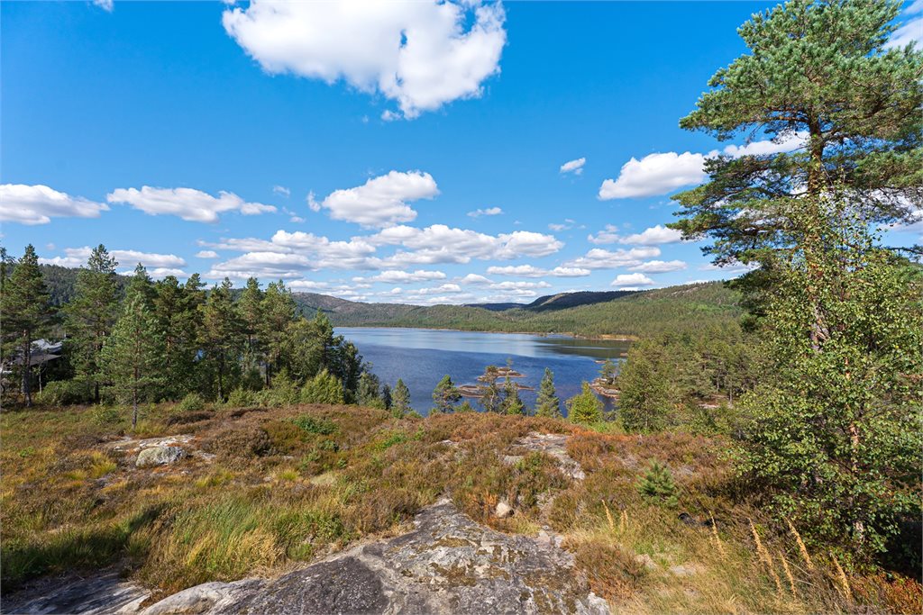 akker utsikt over vannet og et landskap preget av skog, svaberg og urørt natur