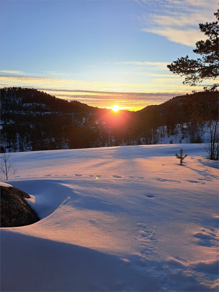 Vinteridyll med lav sol over snødekt landskap, et flott utgangspunkt også for hyggelige vinterdager.