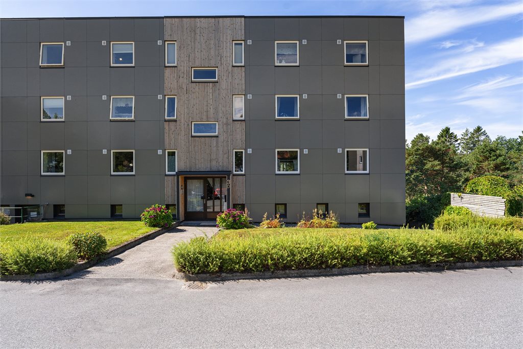 Inngangspartiet