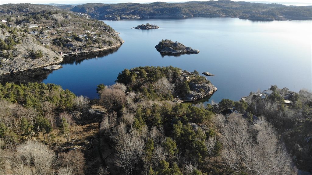 Oversiktsbilde - deler av tomten/stranddel