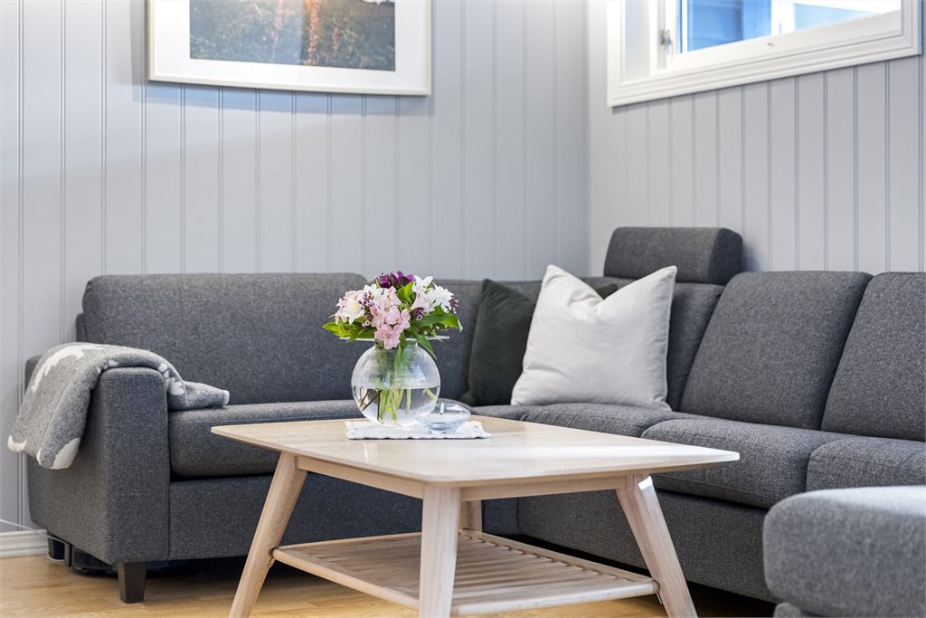 Bilder fra hovedboligen 