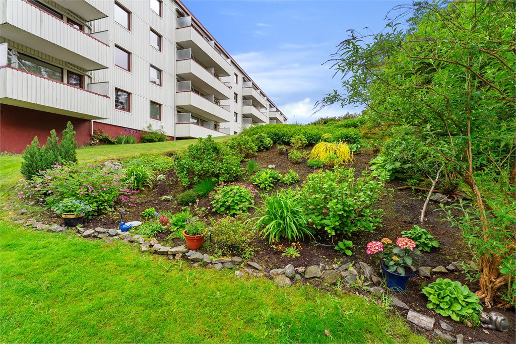 Pent opparbeidet fellesområde