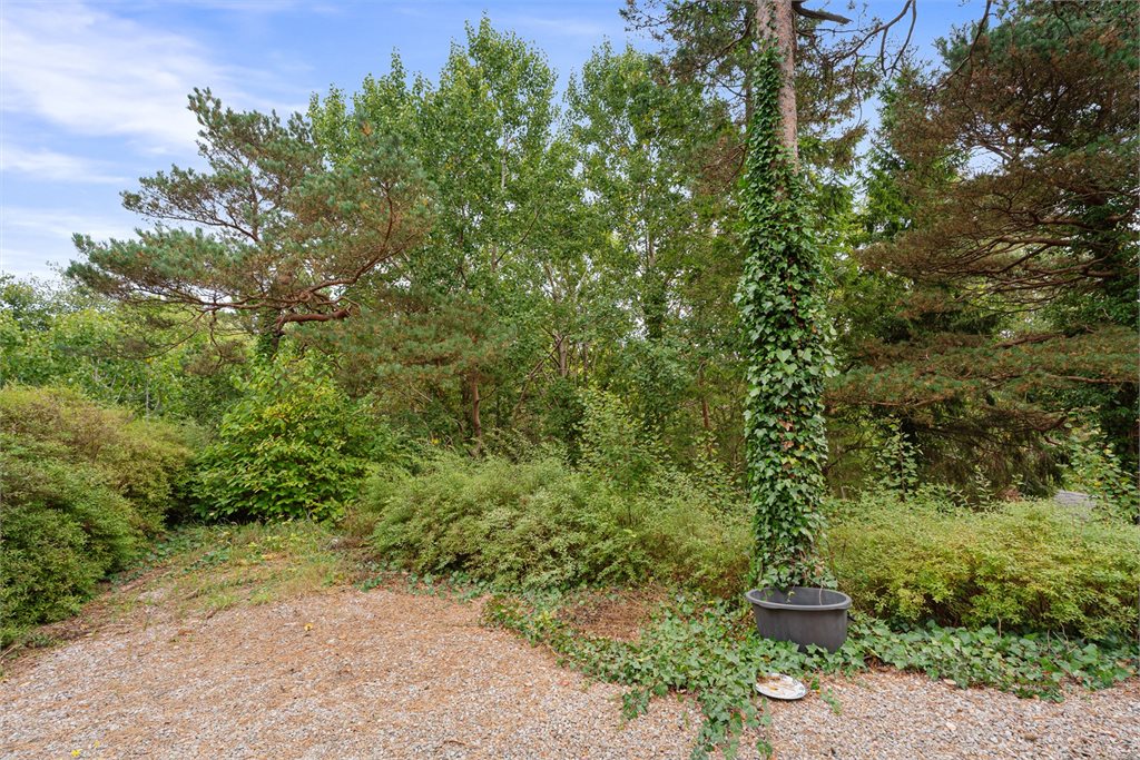 Skjermet hageområde