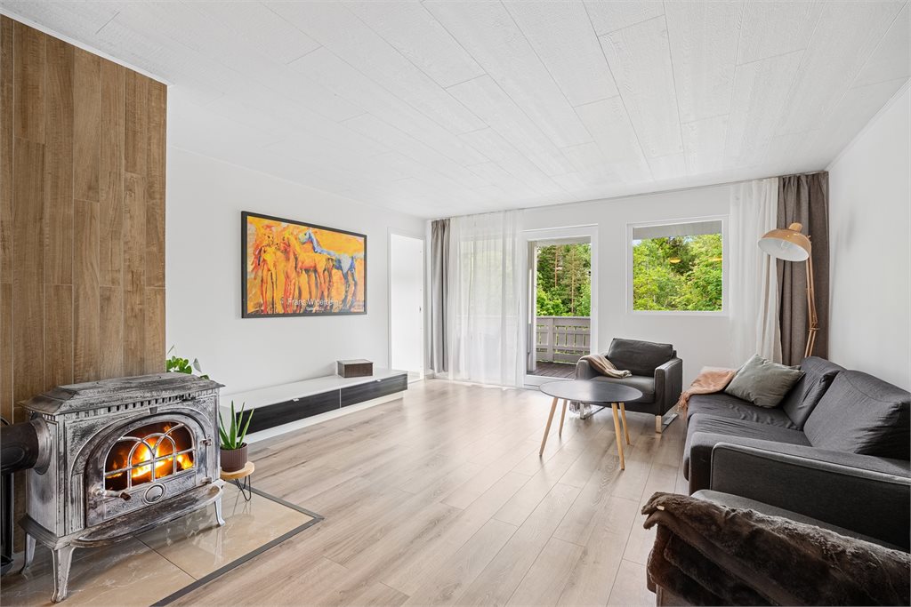 Romslig stue med vedovn og utgang til terrasse