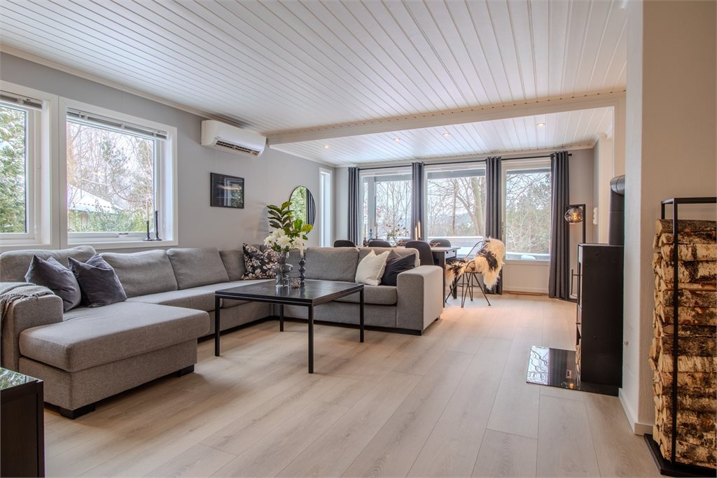 Romslig, moderne stue med utgang til romslig og solrik platting.