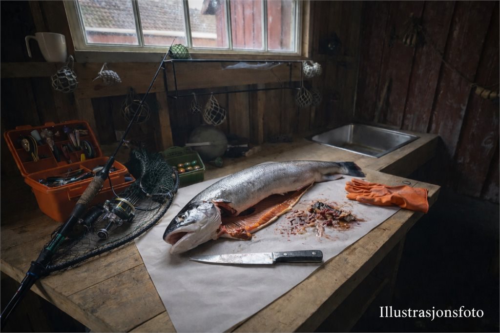 Illustrasjonsfoto sløyebenk.png