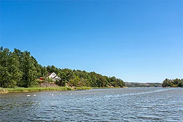 Justnesøya 50